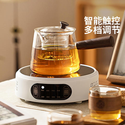 摩登主妇玻璃泡茶壶煮茶专用侧把壶2025新款烧水壶家用高档养生壶 商品图2