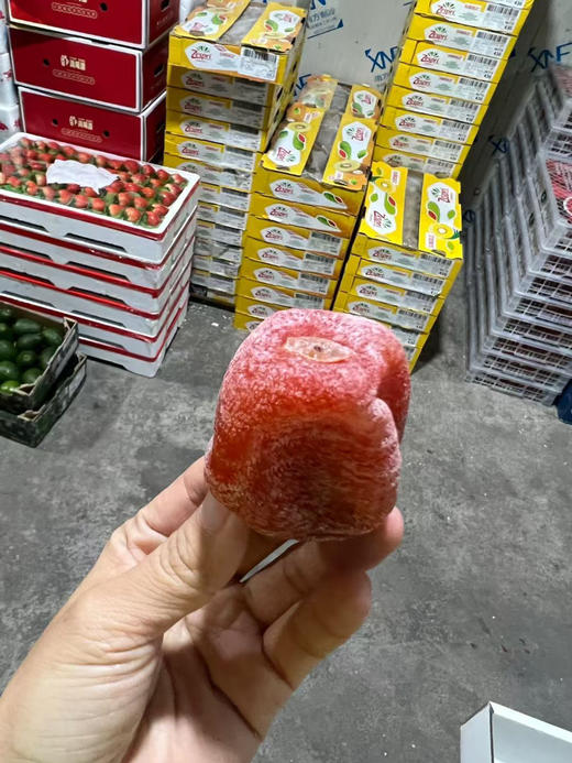 宏丰精选 盒装柿饼，软糯香甜，活动价‼️‼️15一盒 商品图5