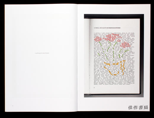 Je n’ai rien a dire. Seulement a montrer/ Ich habe nichts zu sagen. Nur zu zeigen/ I have nothing to 商品图1