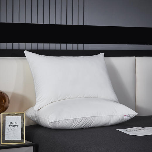 红豆/HONGDOU星级酒店枕48*74cm*2  HD-Z230402 商品图1