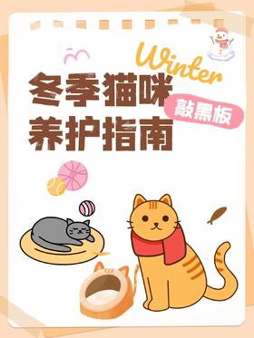 冬天猫咪冻得缩成球？这份冬季养猫保暖+养护全攻略请收好
