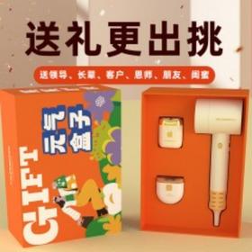 和正元气盒子HZ-BOX-7（1个吹风机+1个电动指甲剪+一个电动剃须刀）
