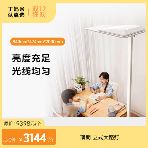 立式大路灯】琪朗立式儿童学习读写灯丨阅读台灯丨全光谱丨钢琴大路灯promax 商品图0