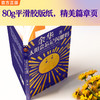 太阳会忘记闪耀吗 伟大的音乐有伟大的治愈力 余华新书 散杂文 商品缩略图6