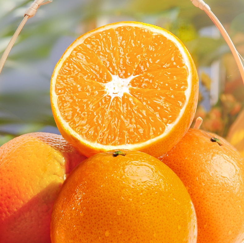 【 杨博士甄选】江西赣南脐橙 新鲜橙子 果园直发 现摘现发 顺丰发货