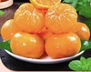 【源头直发】广西砂糖桔 细嫩化渣 口口爆汁 顺丰包邮 YM 商品缩略图3