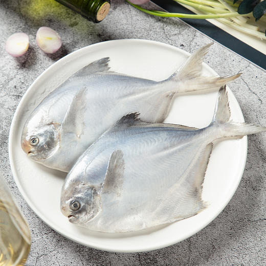 【400积分+84】鲜到鲜得 海捕银鲳鱼 400g*4包（4条/包） 野生捕捞 商品图4