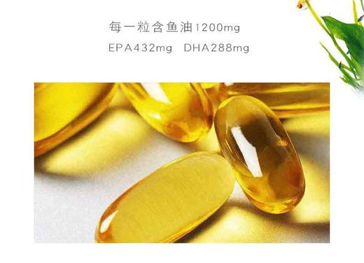 优氏欧米伽3鱼油提取物 60粒/瓶 美国原装进口 深海鱼油 营养心脑眼 商品图3