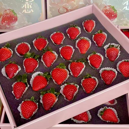 丹东红颜九九草莓 净重1.8-2.6斤实惠装/礼盒装 商品图6
