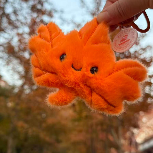 华科大毛绒植物挂件 商品图7