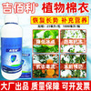 吉佰利植物棉衣抗冻剂防寒果树抗寒防冻液树木防冻花卉蔬菜防冻剂包邮 商品缩略图4