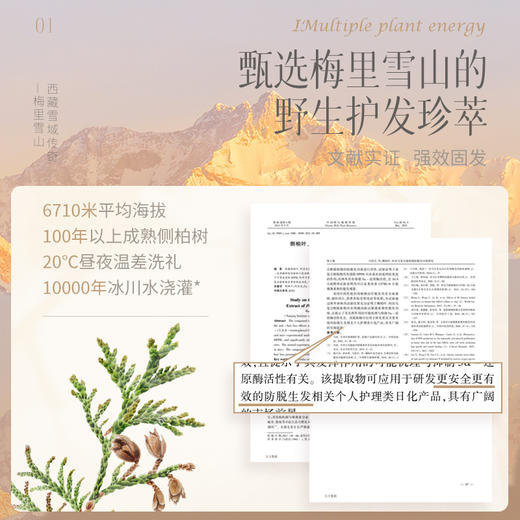 【品质国货】买1送1 诗朗洗发露 防脱育发 控油去屑蓬松 香水级香氛 商品图6