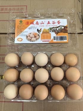 五谷散养蛋8.8元1盒15枚装，明天到