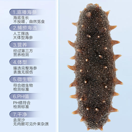 北京同仁堂干海海参-100克（121-150头/500克）非即食   春节不打烊，顺丰快递发货，实效比平时慢一点，介意勿拍。 商品图3