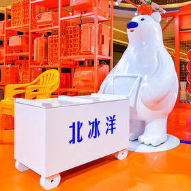 北冰洋 橙汁汽水 经典果汁汽水 气泡饮料碳酸饮料 330ml*6罐/试饮装