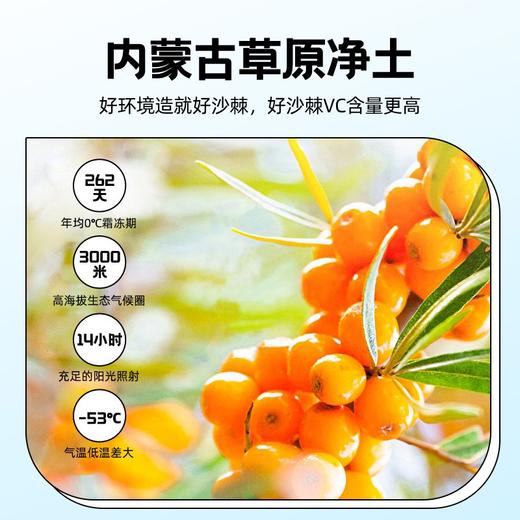 杞里香 默小吉沙棘原浆礼盒1800ml（30ml*60袋） 鲜榨沙棘汁 商品图4