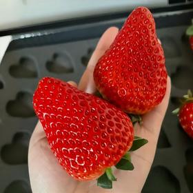 【🍓丹东红颜九九草莓🍓】  精挑细选9甜1酸 乒乓球一样大的草莓