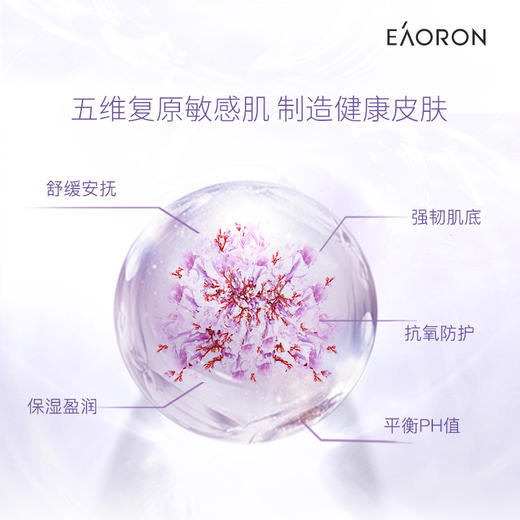 EAORON澳容 蓝花楹奇迹面膜 商品图2