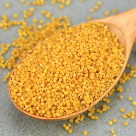 【妙耕自种】生态黄小米自然农法种植 商品图2