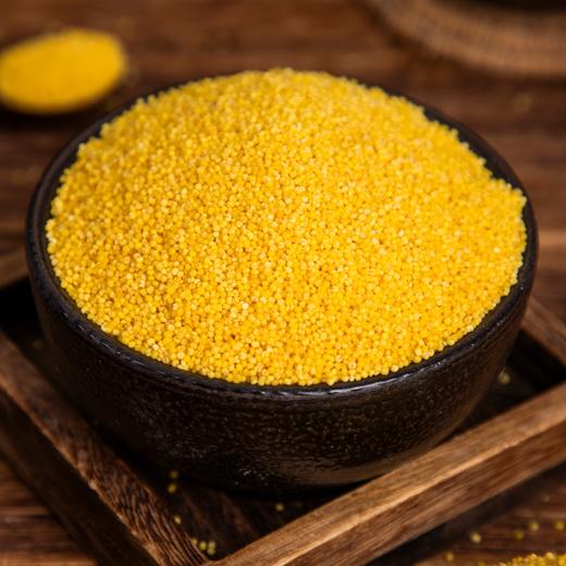 白小禾·内蒙古敖汉有机小米， 金黄米油，香浓软糯，干净免洗可直接下锅！ 商品图11