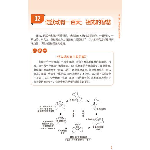 常见骨关节疾病自我管理全书（健康自我管理系列）田文正 常见骨关节疾病患者家庭治疗和自我管理的常备用书 中国医药科技出版社 商品图4