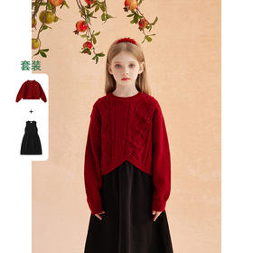 【年服】植木中式氛围感盘扣毛衣连衣裙两件套54L053015