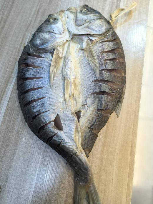 咸大头鲢鱼 商品图0