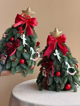 进口圣诞节诺贝松圣诞树圣诞圣典1颗（下单一周内发货）