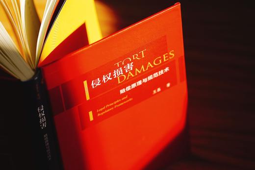 《侵权损害：赔偿原理与规范技术》赠讲座 商品图6