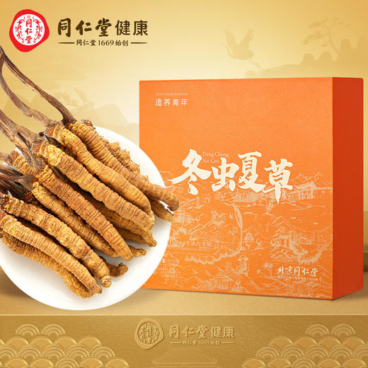 北京同仁堂冬虫夏草虫草精选4条1克10克礼盒 商品图0