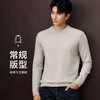 红览 男士轻商务纯羊毛长袖针织衫HNZAW3J026A 商品缩略图2