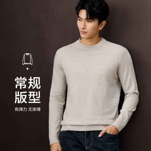 红览 男士轻商务纯羊毛长袖针织衫HNZAW3J026A 商品图2