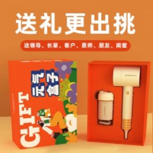 和正元气盒子HZ-BOX-8（1个吹风机+1个便携式冲牙器） 商品图0