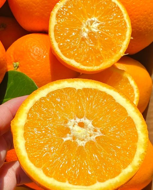 农夫园 赣南脐橙纯甜 【礼盒】 商品图4