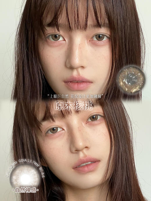 Liliyacon 原木核桃 6片/盒（日抛型） 商品图0