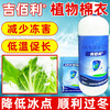 吉佰利植物棉衣抗冻剂防寒果树抗寒防冻液树木防冻花卉蔬菜防冻剂包邮 商品缩略图3