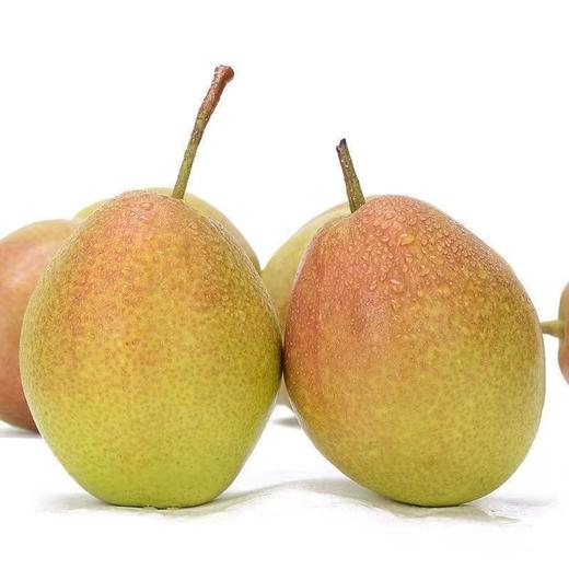 新疆库尔勒香梨鲜甜多汁香脆可口 商品图3