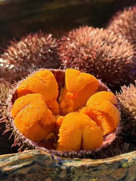 & 现挖海胆膏，炒菜，蒸蛋🥚一级鲜香！ 商品图1