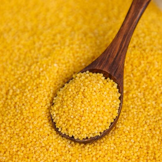 白小禾·内蒙古敖汉有机小米， 金黄米油，香浓软糯，干净免洗可直接下锅！ 商品图8