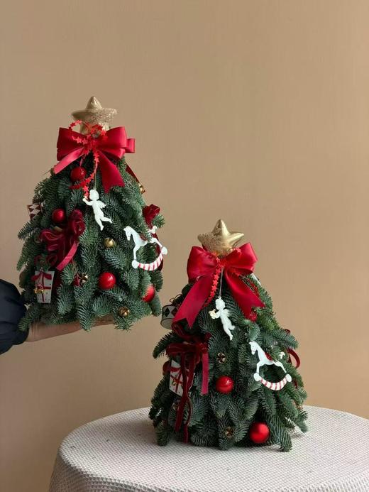 进口圣诞节诺贝松圣诞树圣诞圣典1颗（下单一周内发货） 商品图2