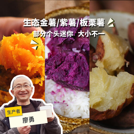 生态红薯/金薯/紫薯/板栗香薯（大小不一，申通）| 合作生产* Eco sweet potato | Coproduction 商品图0