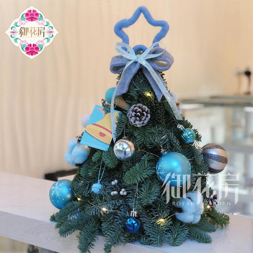 诺贝松圣诞树（高度20cm-30cm） 商品图1