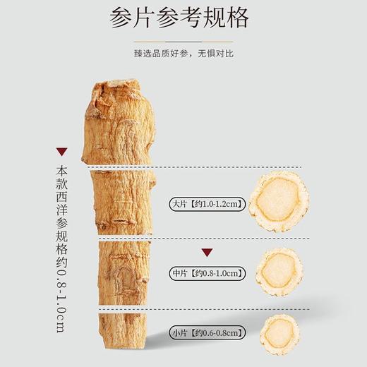 【福东海】西洋参片100克(50克x2瓶)礼盒(0.8-1cm) 商品图4