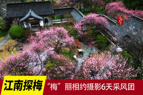 02.25确定出发【江南探梅】“梅”丽相约摄影6天采风团