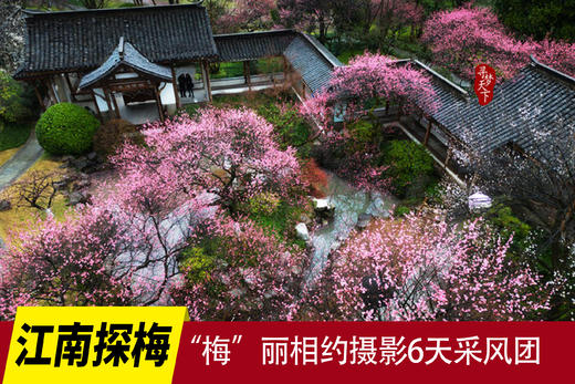 02.25确定出发【江南探梅】“梅”丽相约摄影6天采风团 商品图0