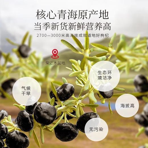 【福东海】黑枸杞200克(100克x2瓶)礼盒(牛头果) 商品图5
