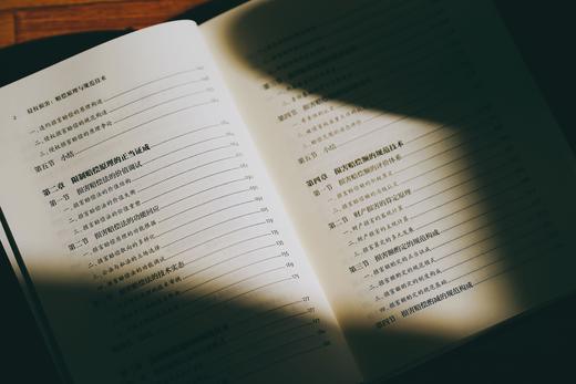 《侵权损害：赔偿原理与规范技术》赠讲座 商品图3