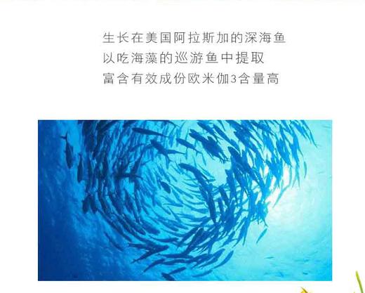 优氏欧米伽3鱼油提取物 60粒/瓶 美国原装进口 深海鱼油 营养心脑眼 商品图4