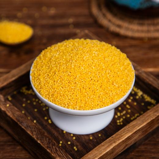 白小禾·内蒙古敖汉有机小米， 金黄米油，香浓软糯，干净免洗可直接下锅！ 商品图9