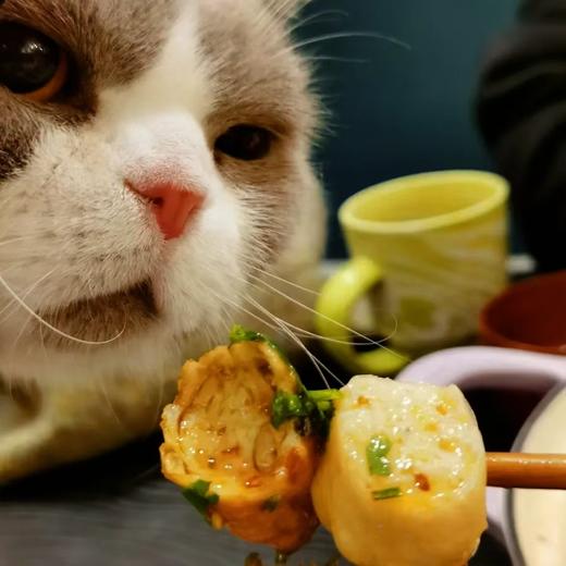 [屁侠推荐]乙记·潮汕非遗特色丸饺  浮丸/广章/鱼皮虾册/鱼皮虾饺/达濠那哥鱼丸/牛肉丸/鱼册/鱼饺 三种套餐组合，多款美味全包揽； 传统手工制作，经典潮汕风味 商品图0